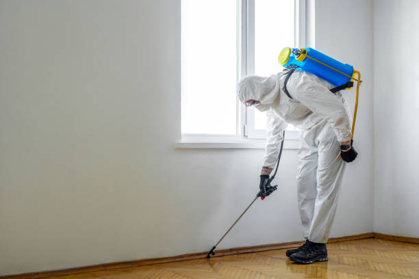 Pest Control for Hotels in Rockledge, PA